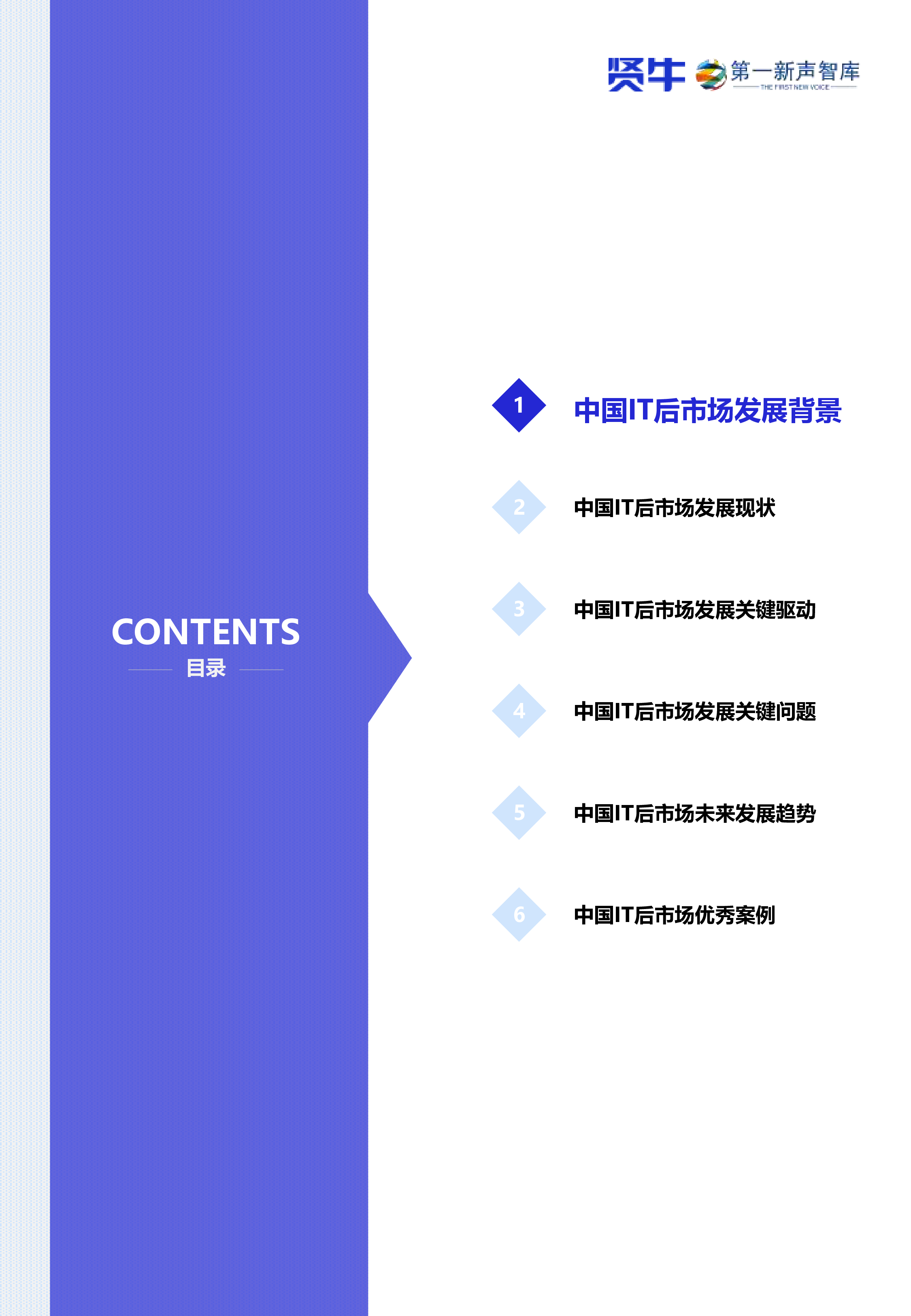 2025年中国IT后市场发展研究报告