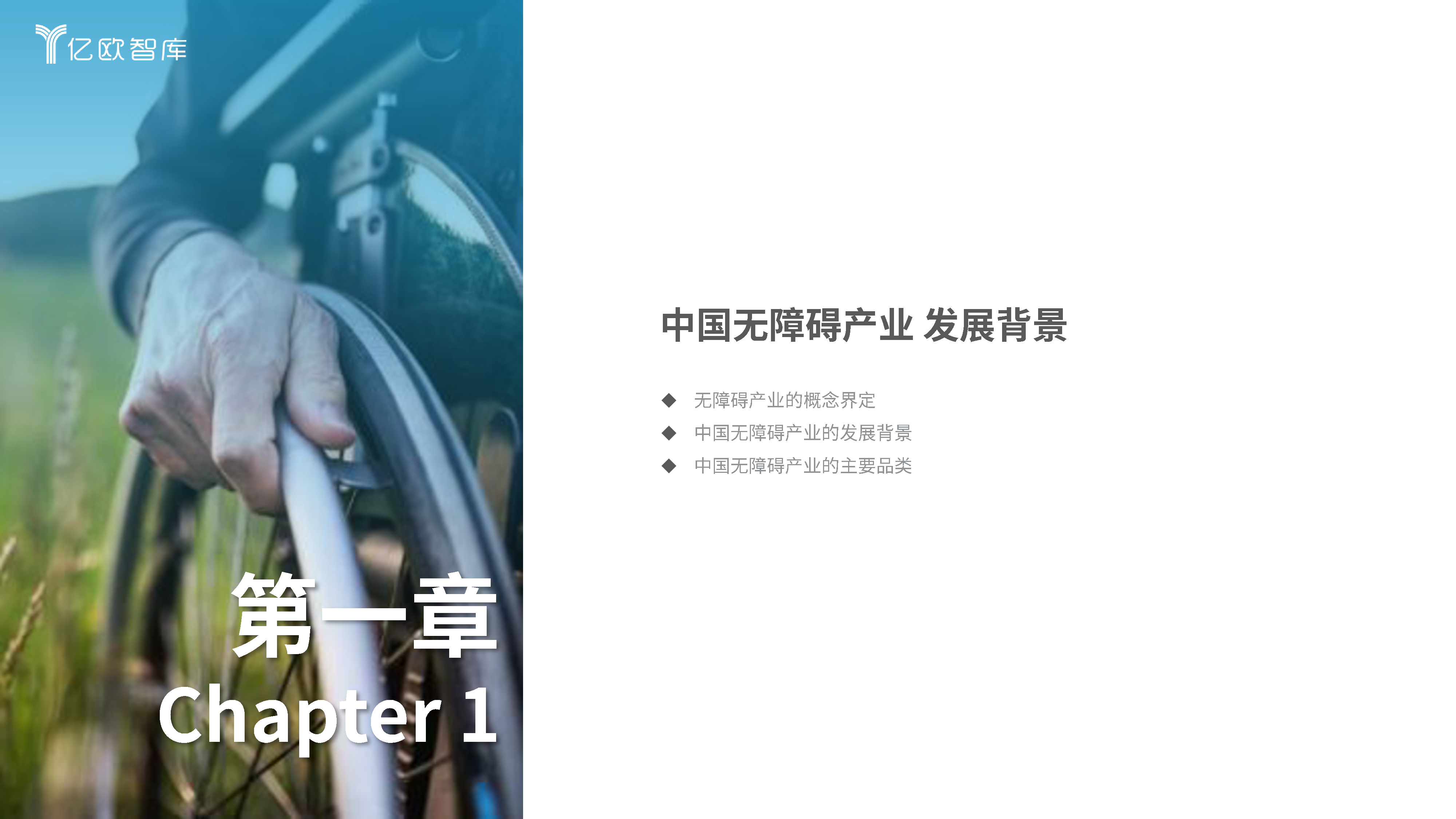 2025年中国无障碍产业研究报告