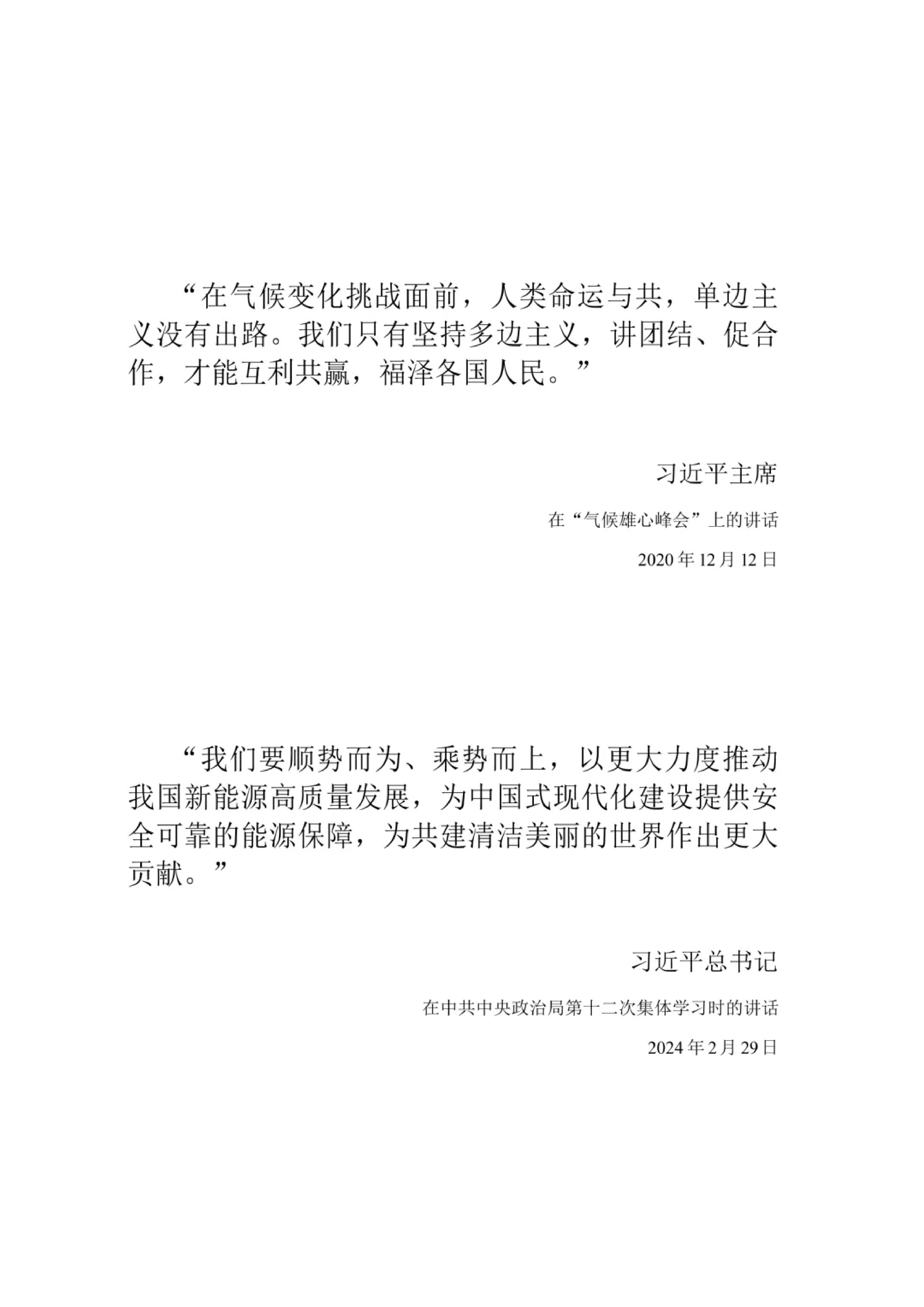 中国能源转型展望2024