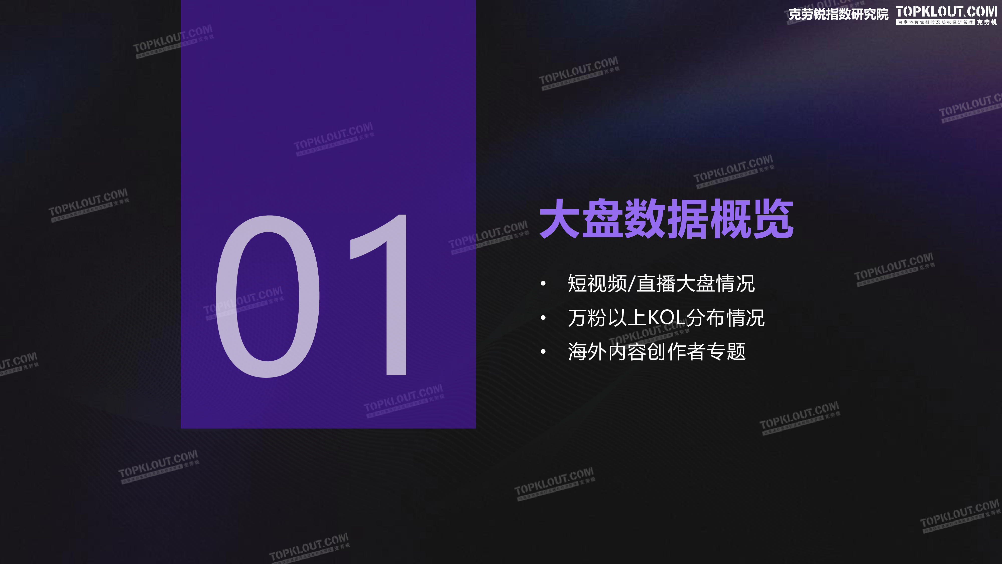 2024年KOL发展年报