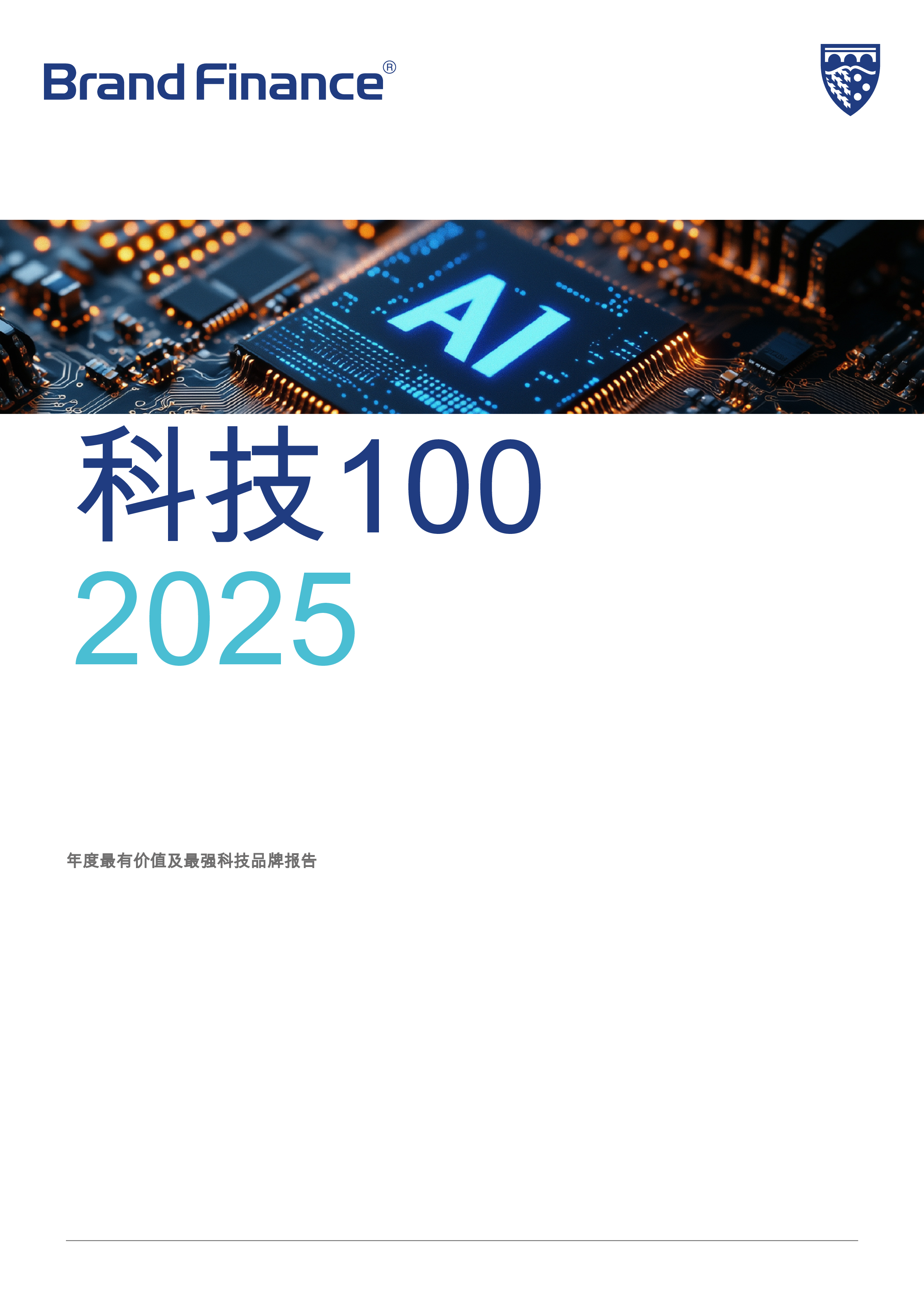 最具价值和最强大的技术品牌100强2025年度报告2025