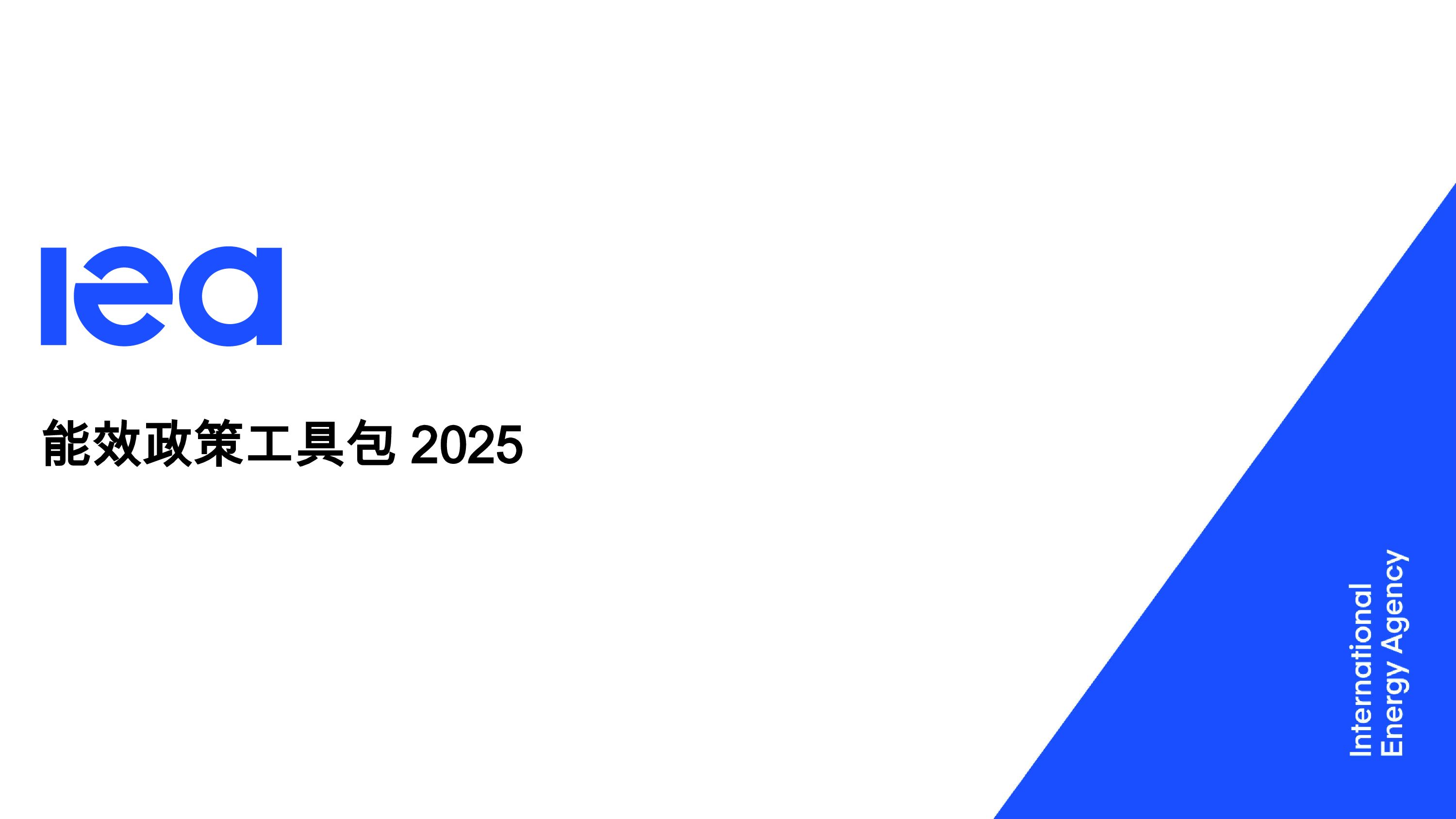 2025年能效政策工具包