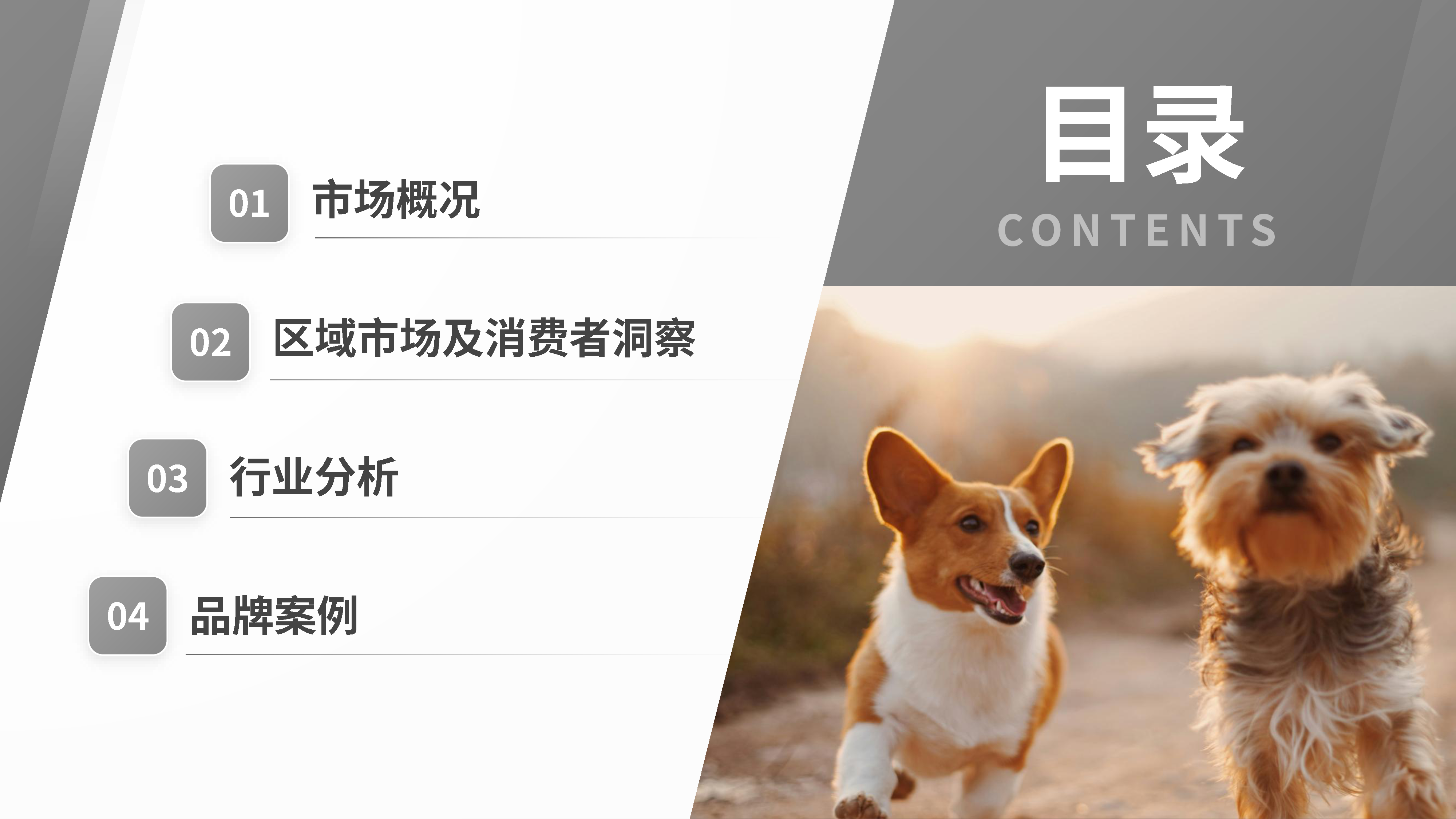 2025宠物殡葬用品市场洞察报告