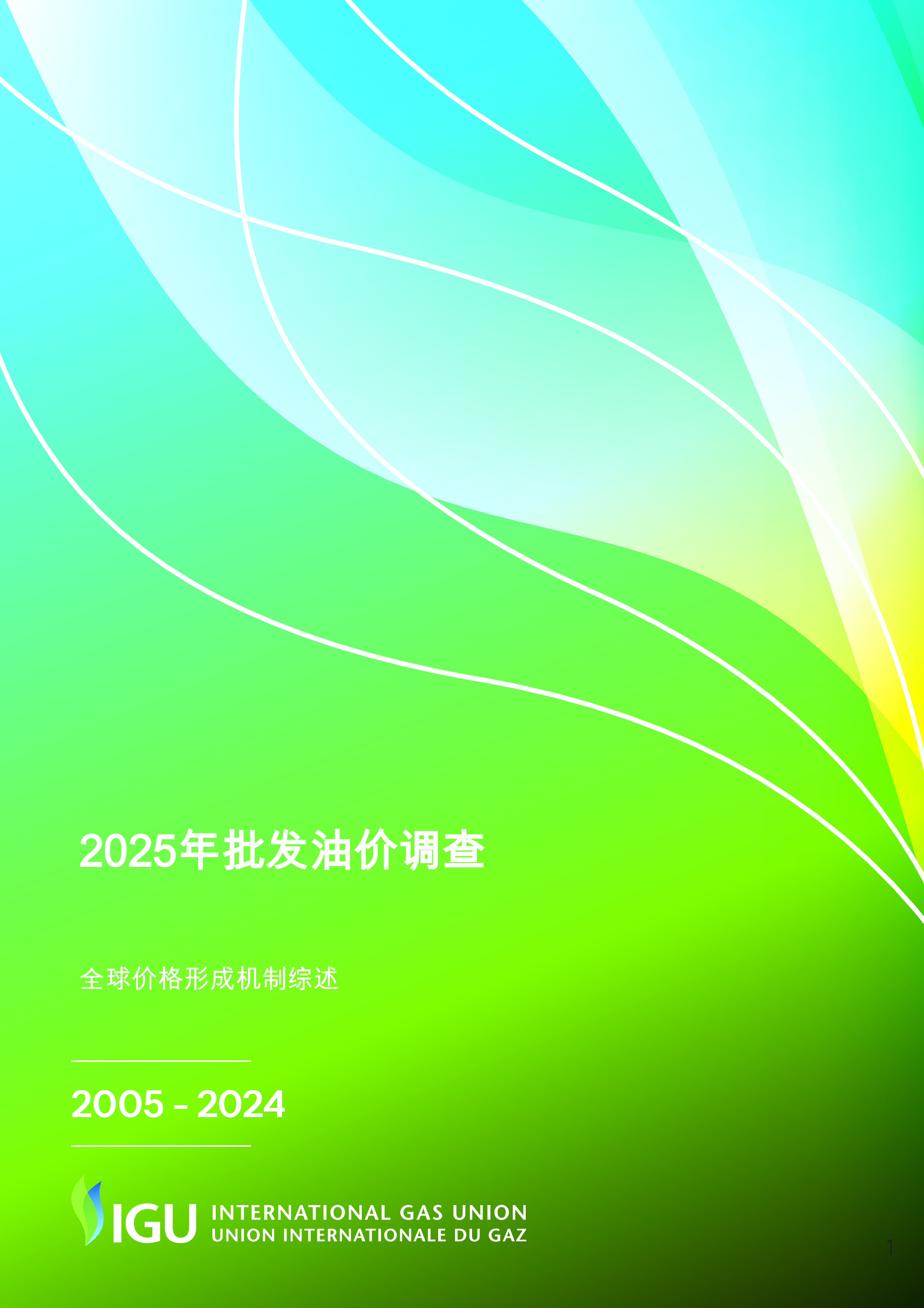 2025年全球天然气批发价格调查报告