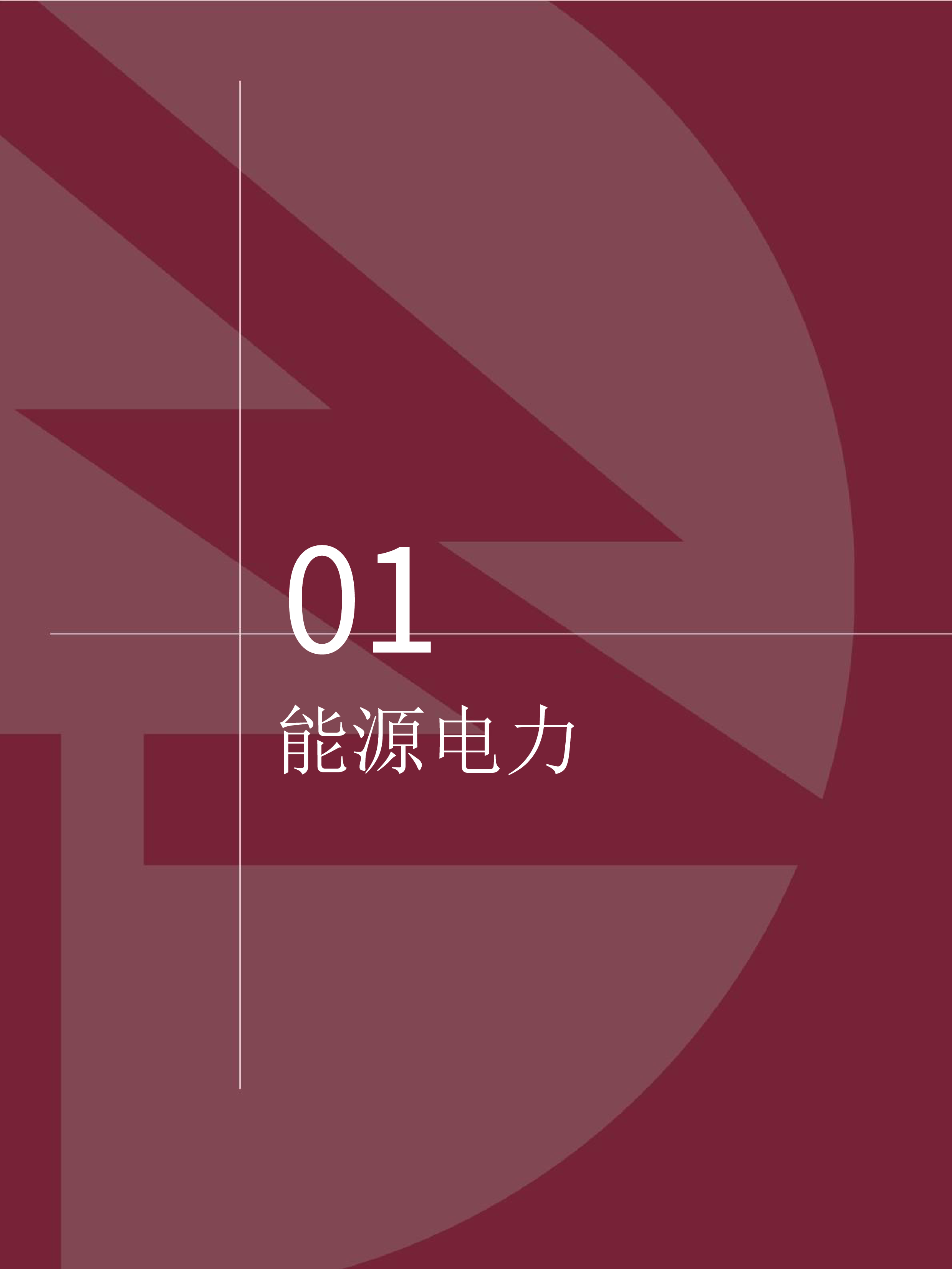 AI决策典型案例集