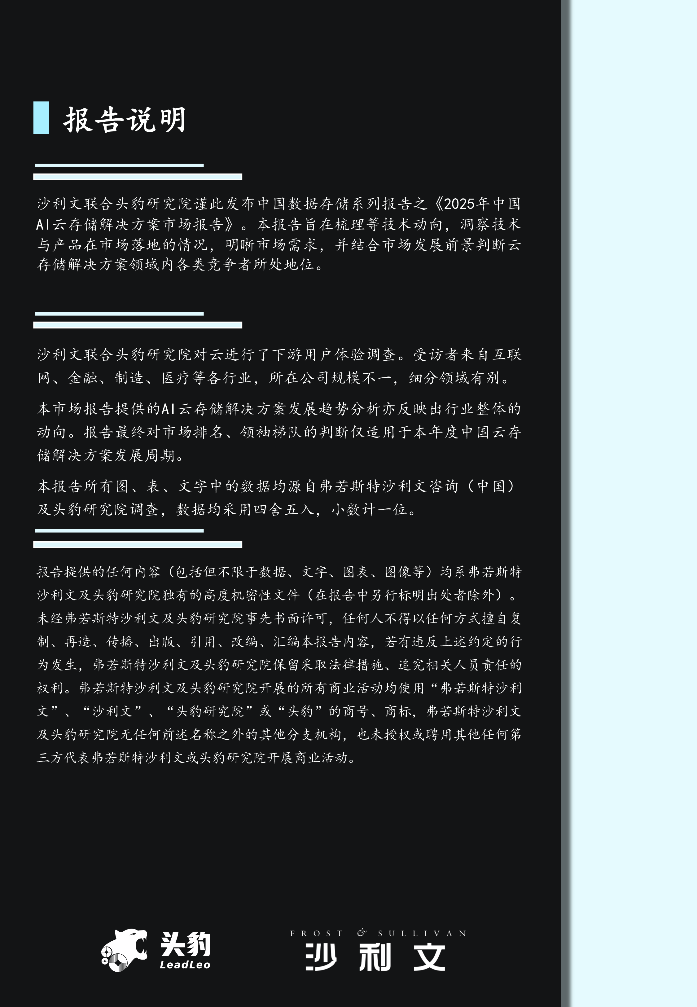 2025年中国AI云存储解决方案市场报告