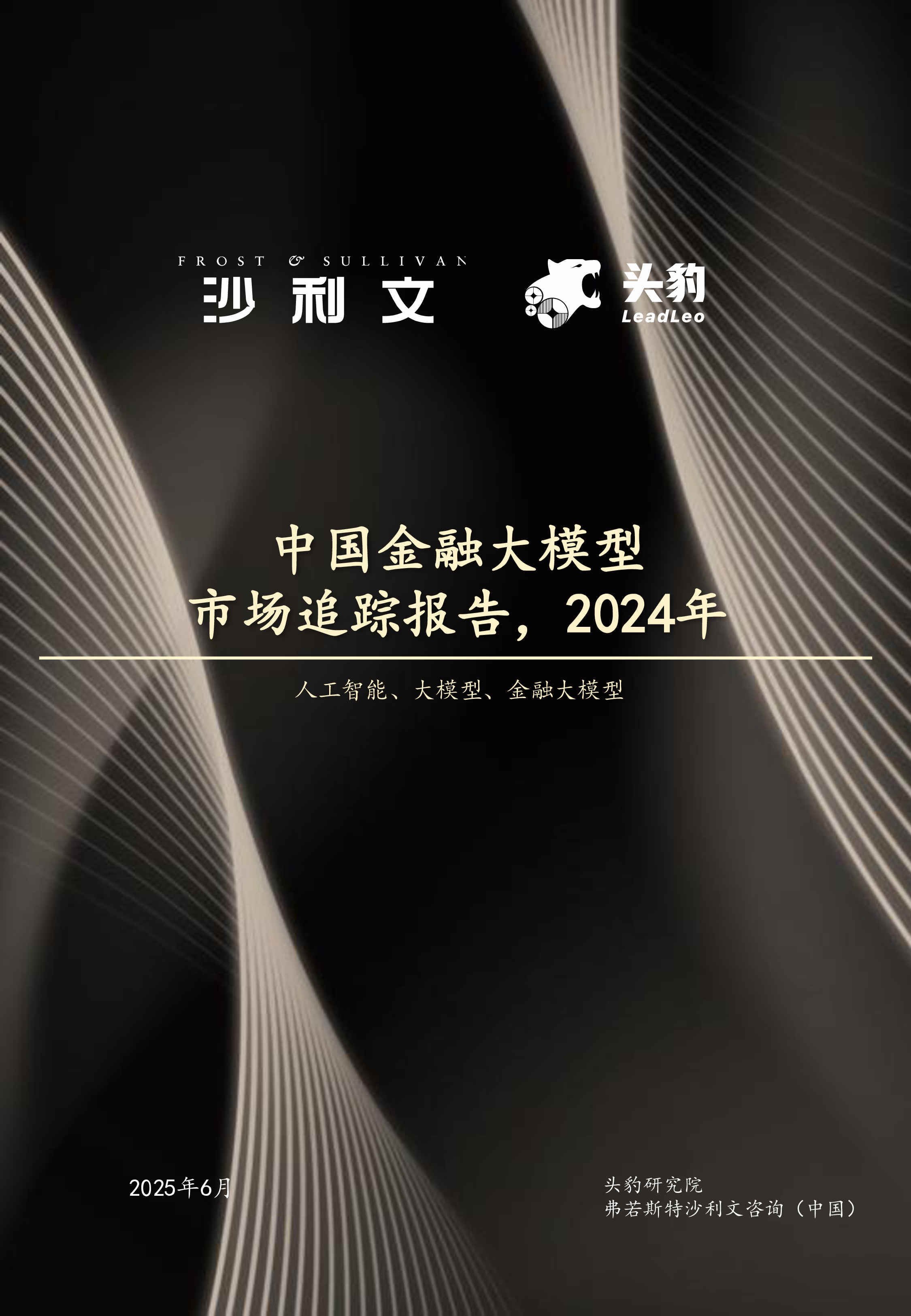 中国金融大模型市场追踪报告,2024全年