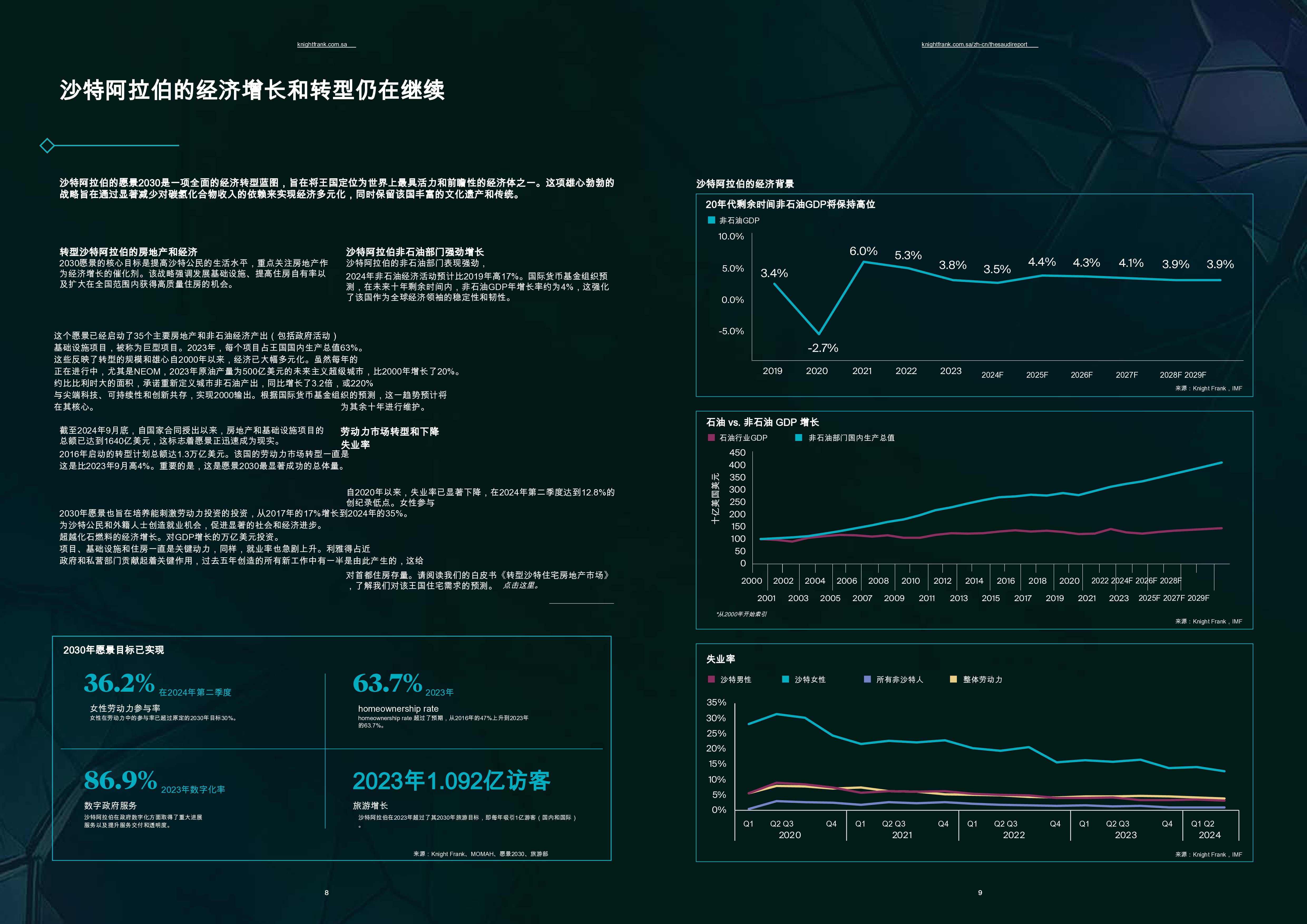 沙特2025报告