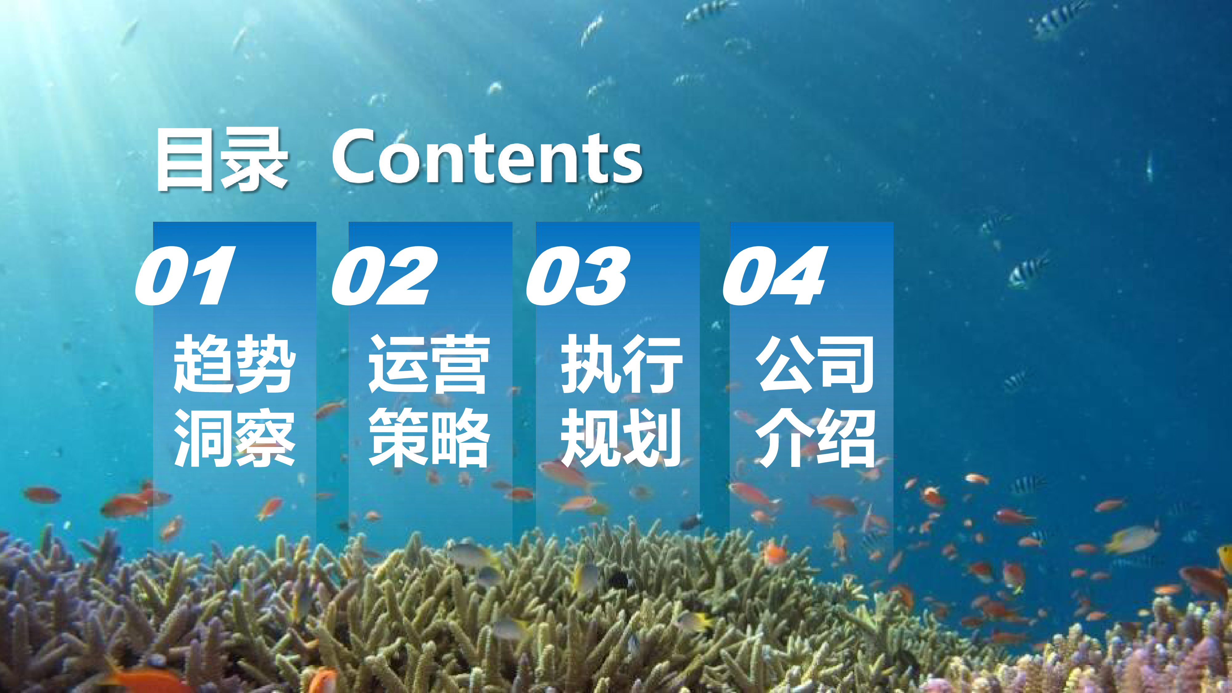 2024-2025比亚迪海洋系列新媒体官方账号年度直播运营方案