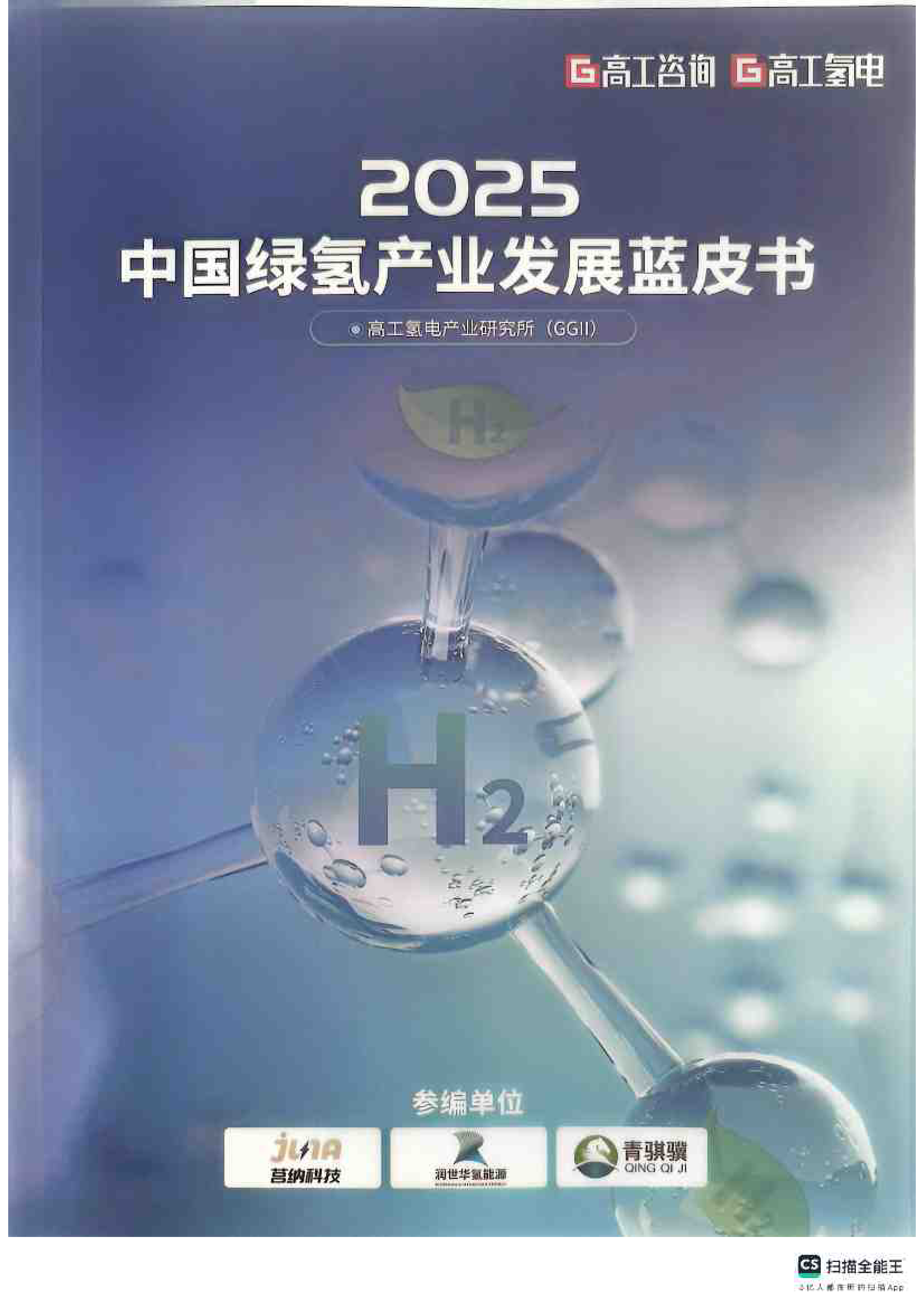 2025中国绿氢产业发展蓝皮书