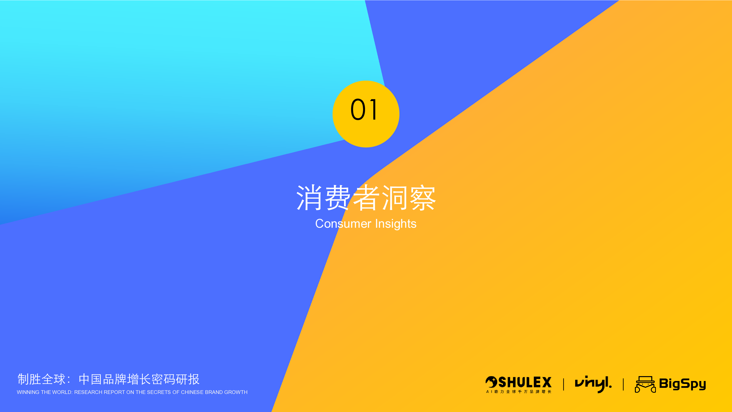 2025年3D打印机出海趋势与营销洞察白皮书