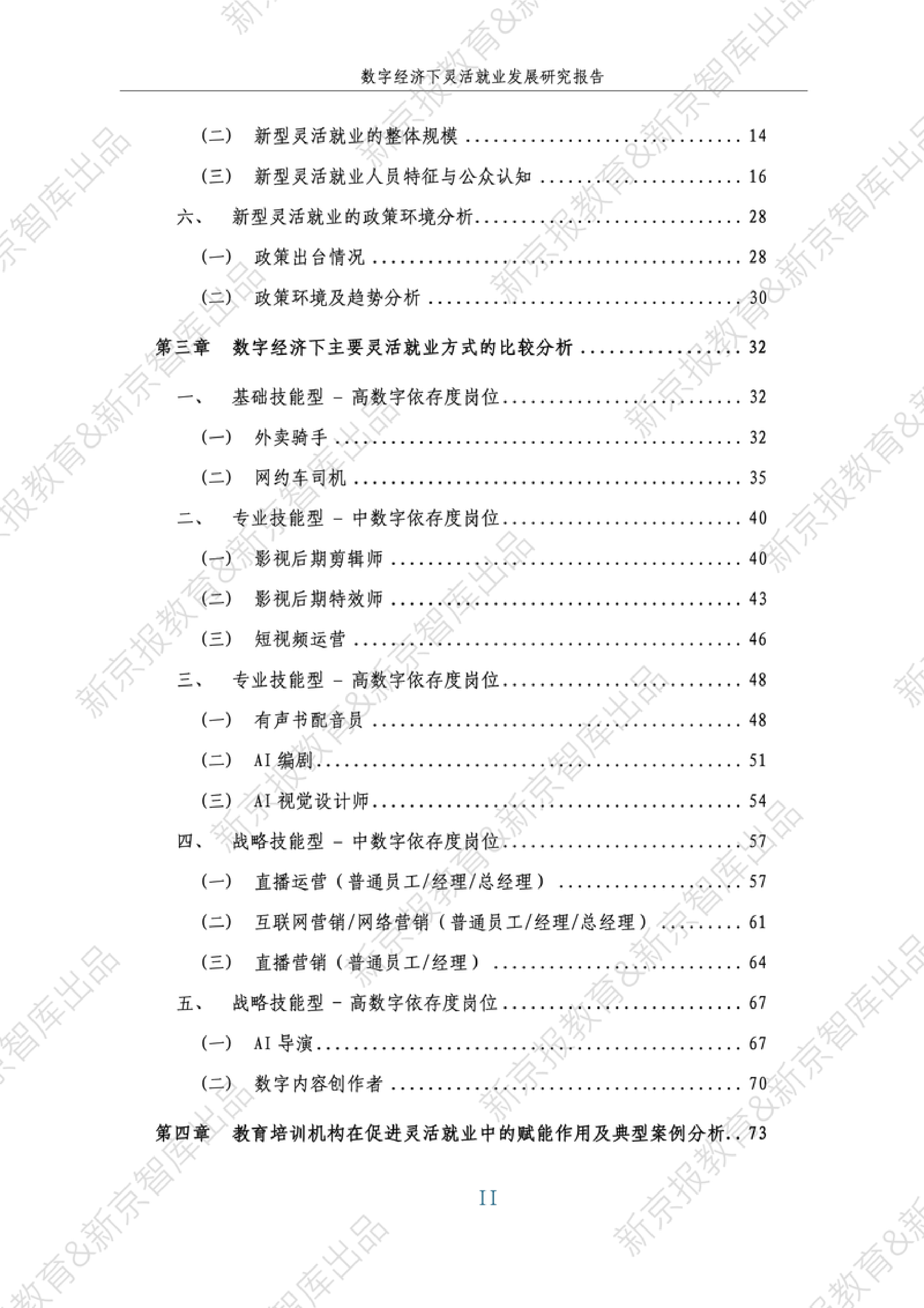 2025年数字经济下灵活就业发展研究报告