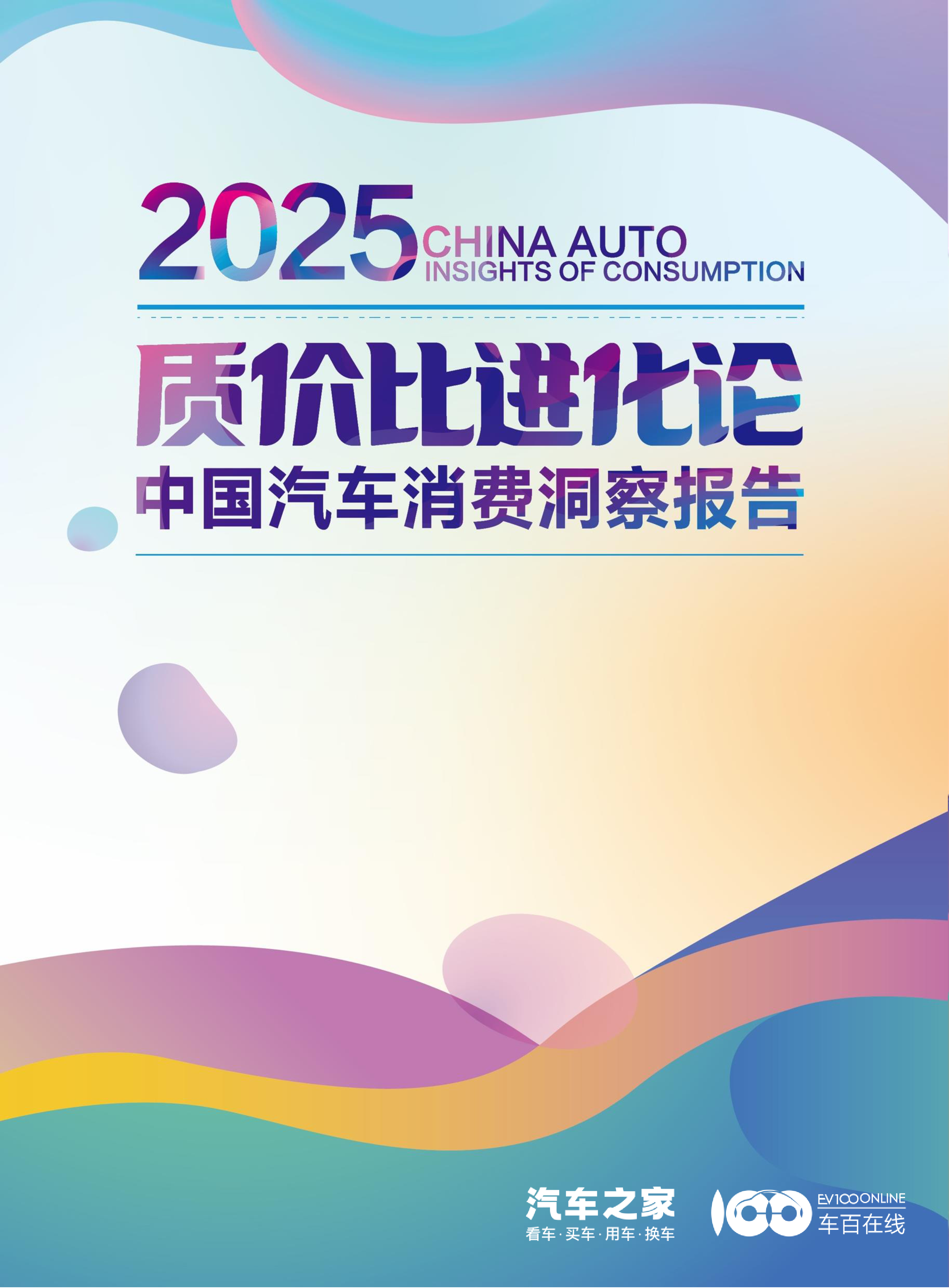2025质价比进化论：中国汽车消费洞察报告