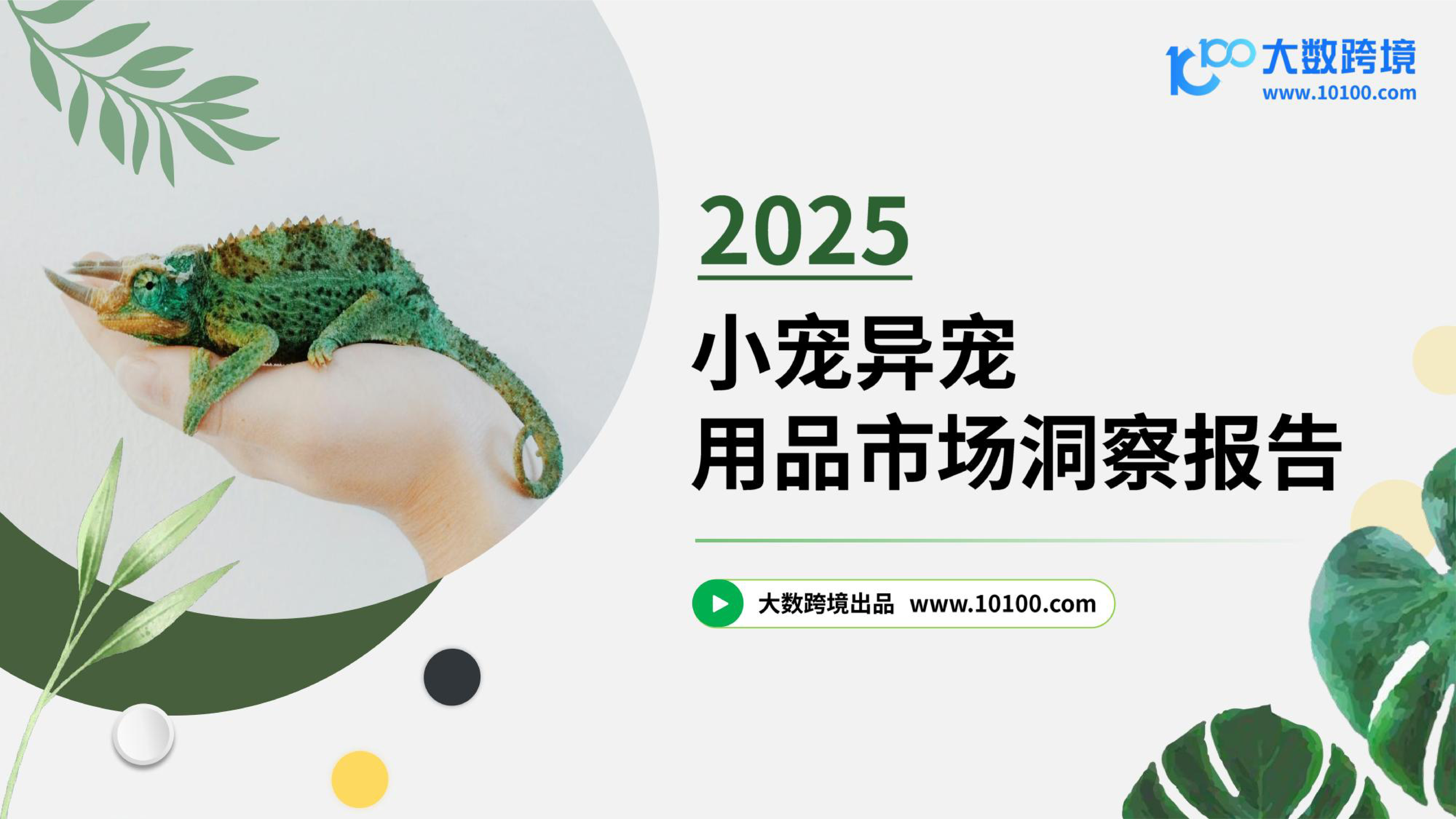 2025小宠异宠用品市场洞察报告