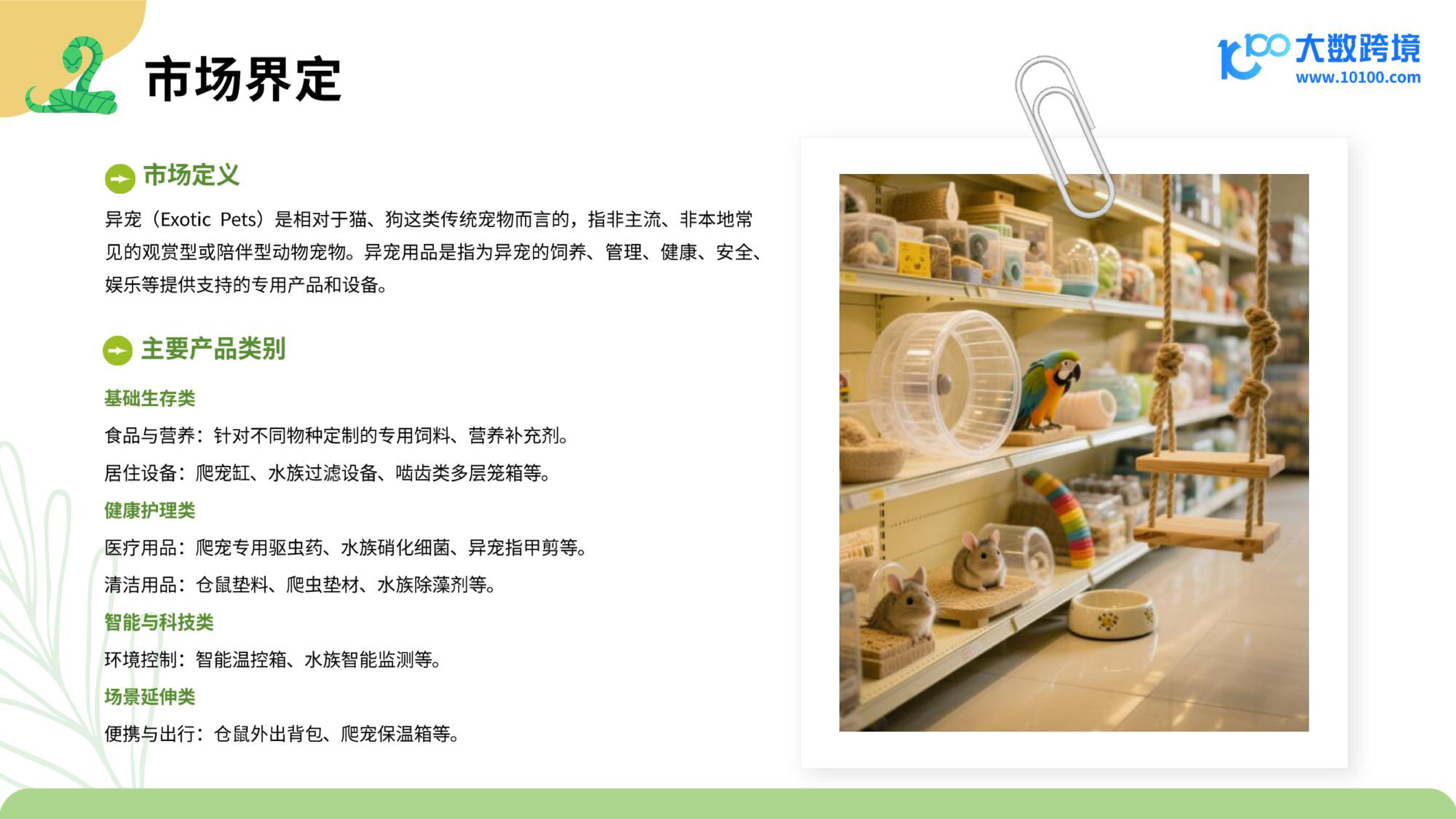 2025小宠异宠用品市场洞察报告