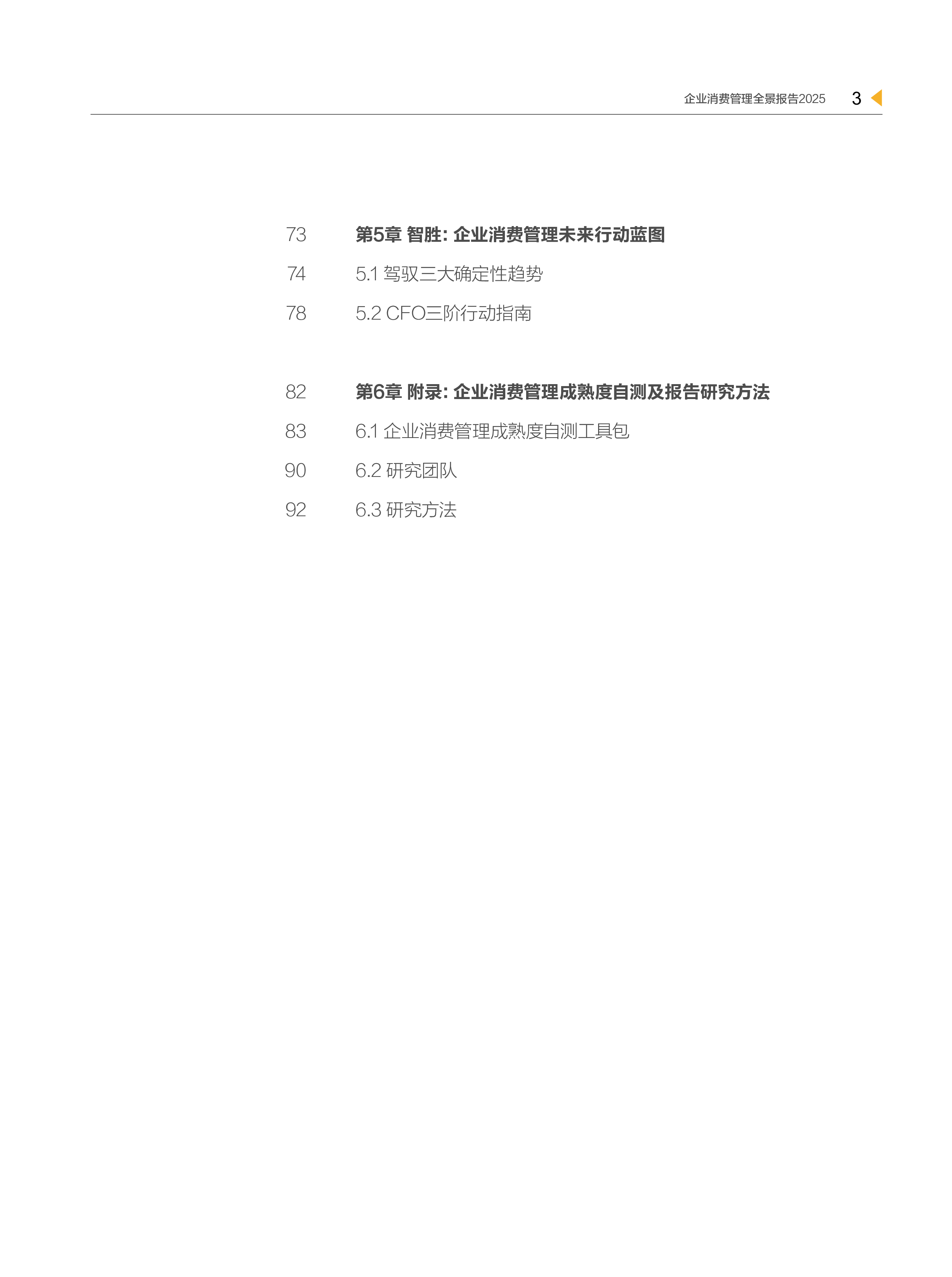 CFO战略跃迁新引擎：企业消费管理全景报告2025
