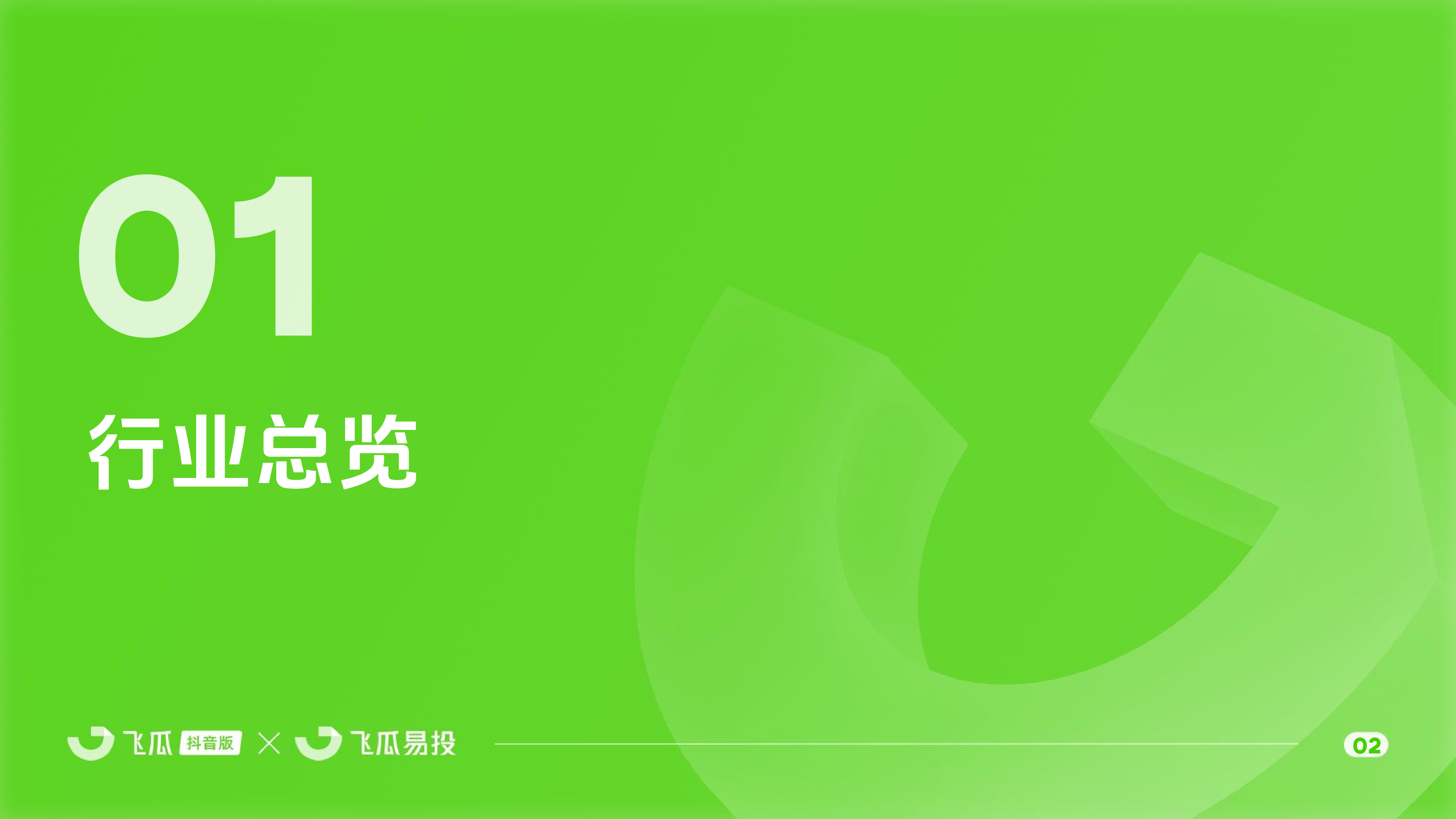 2025上半年飞瓜抖音电商与广告投放报告