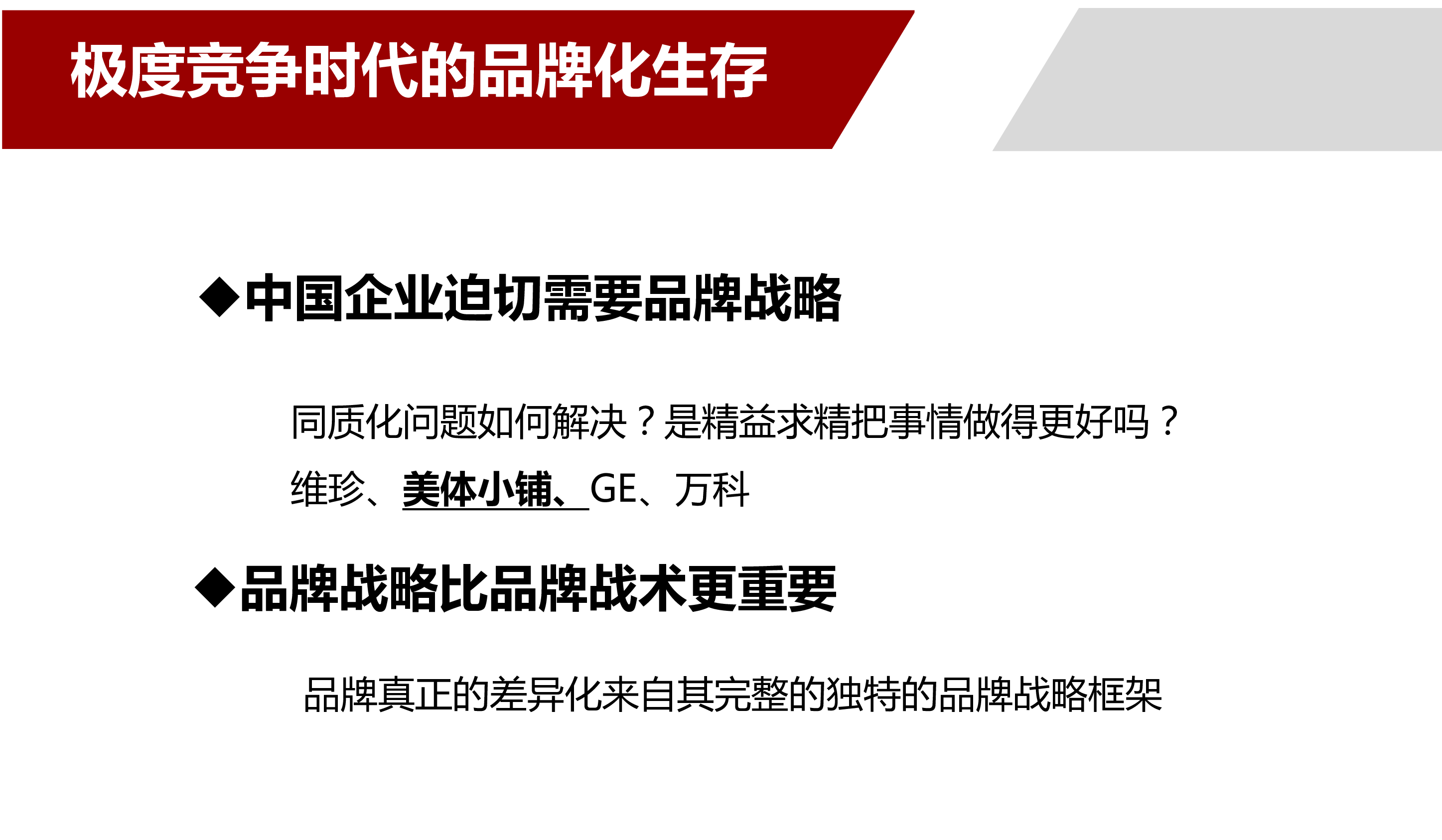 战略品牌管理手册