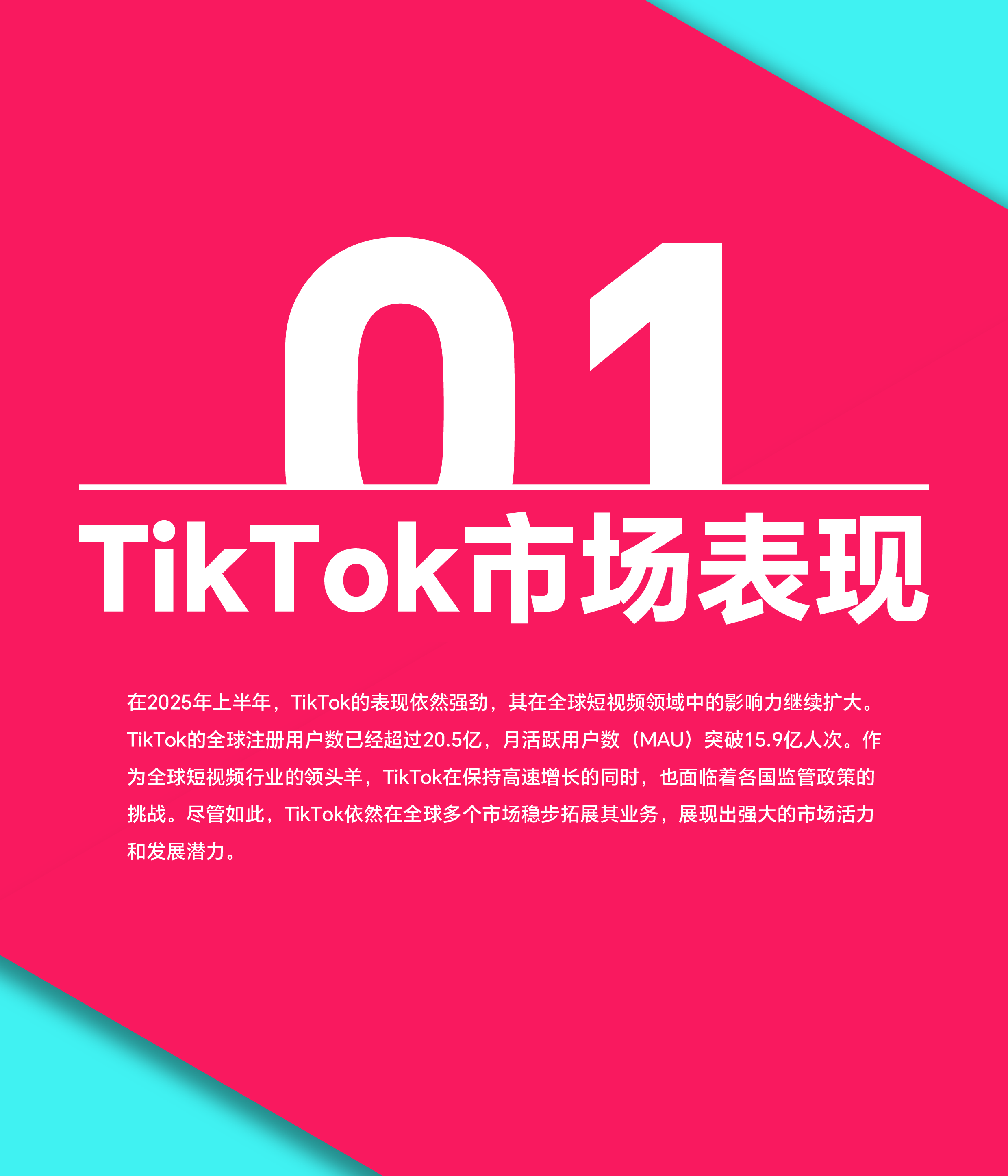 TT1232025上半年TikTokShop调研报告73页