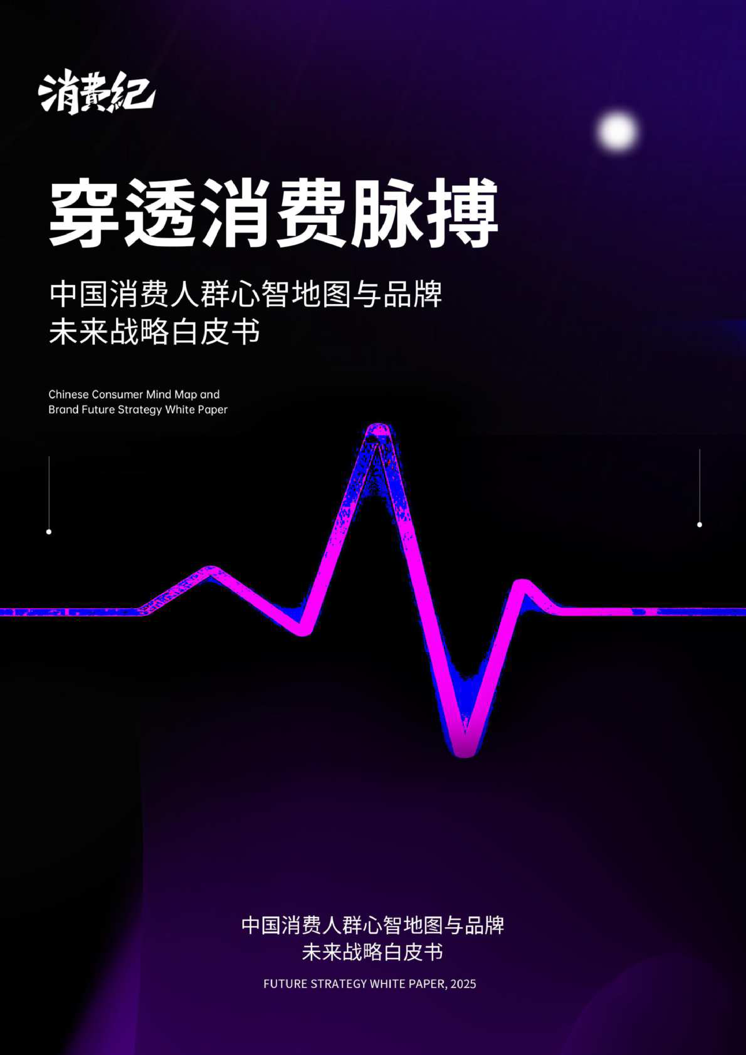 消费纪2025中国消费人群心智地图与品牌未来战略白皮书157页